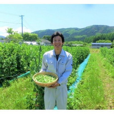 野菜セット 10～12種 Lサイズ 栽培期間中農薬不使用 岩手県 遠野市 遠野もぐもぐカントリー