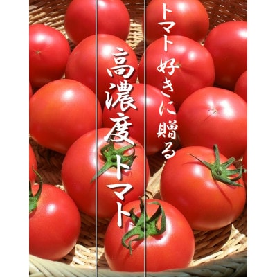 完熟トマト 1.5kg 11玉前後 栽培期間中農薬不使用 岩手県遠野市 遠野もぐもぐカントリー