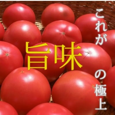 完熟トマト 1.5kg 11玉前後 栽培期間中農薬不使用 岩手県遠野市 遠野もぐもぐカントリー