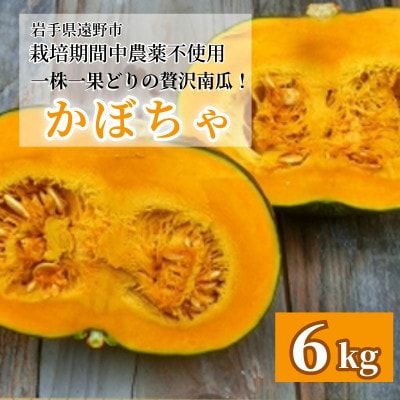 【甘い粉質系】かぼちゃ(6kg)栽培期間中農薬、動物性化成等不使用 遠野もぐもぐカントリー