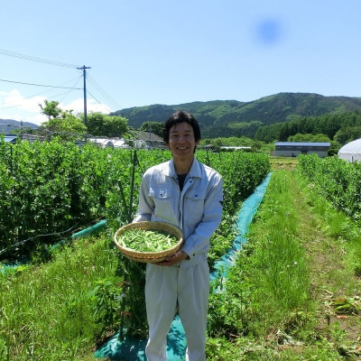 【甘い粉質系】かぼちゃ(6kg)栽培期間中農薬、動物性化成等不使用 遠野もぐもぐカントリー