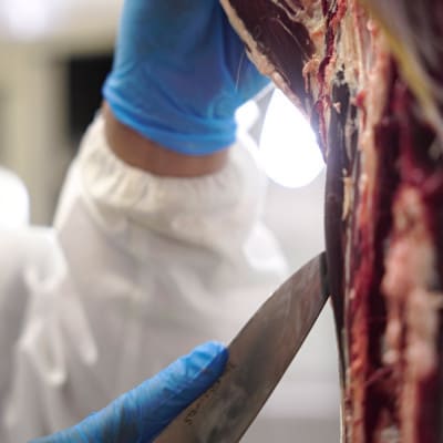 鹿ヒレ肉 合計600g 100g×6パック ジビエ 遠野市産 冷凍 遠野ジビエの里