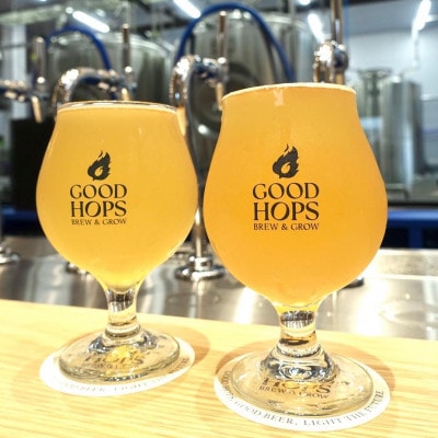 クラフトビール GOOD HOPS おまかせ 飲み比べ 6本 セット 缶ビール 詰め合わせ