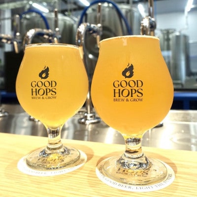 クラフトビール GOOD HOPS 青空ホップス ペールエール 6本セット 缶ビール