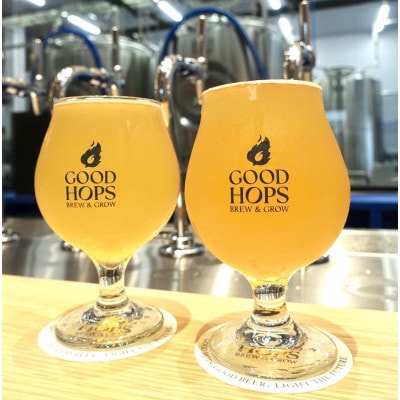 クラフトビール GOOD HOPS 遠野の息吹 インディアペール ラガー 6本セット 缶ビール