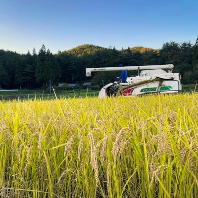 【毎月定期便】ササニシキ 白米 精米 5kg 岩手県遠野市 勘六縁「たけのこ舎」全12回