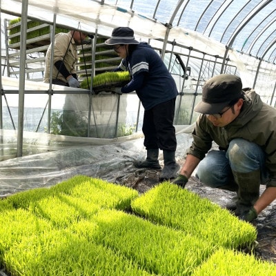 【毎月定期便】ササニシキ 白米 精米 10kg 岩手遠野市 勘六縁「たけのこ舎」全6回