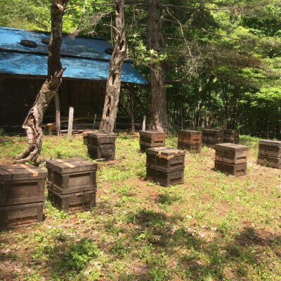 菊常養蜂園 季節のおすすめはちみつ おまかせセレクト3個入