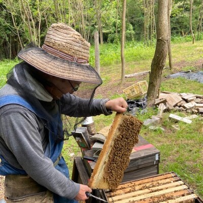 菊常養蜂園 季節のおすすめはちみつ おまかせセレクト3個入