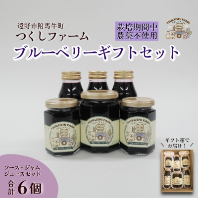 ブルーベリージュース&ジャム&ソース 合計6個セット 栽培期間中農薬不使用 つくしファーム 遠野