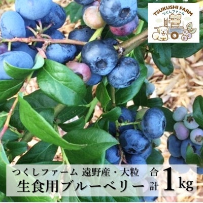 大粒 完熟 生ブルーベリー 500g×2パック 岩手県 遠野産 つくしファーム 栽培期間中農薬不使用