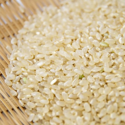 【令和8年産 新米】 ひとめぼれ 玄米 10kg 金取ノ米 岩手県 遠野市 多田農産