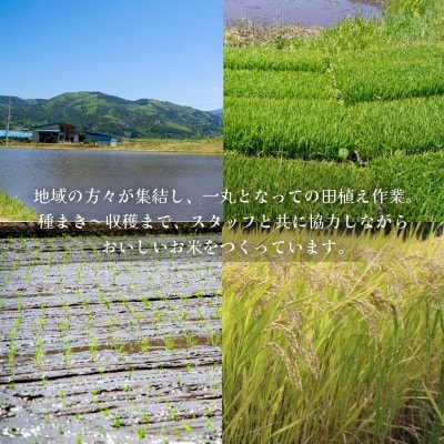 【山あいのおこめ】R8年産 あきたこまち 精米 10kg  宮守川上流生産組合