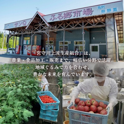 【山あいのおこめ】R8年産 あきたこまち 精米 5kg  宮守川上流生産組合