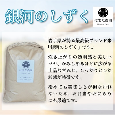 令和8年産 新米 銀河のしずく 10kg 岩手県 遠野産 農家直送 精米したてをお届け【はまだ農園】