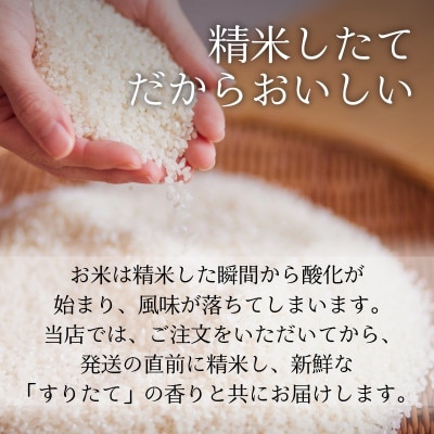 令和8年産 新米 銀河のしずく 15kg 岩手県 遠野産 農家直送 精米したてをお届け【はまだ農園】