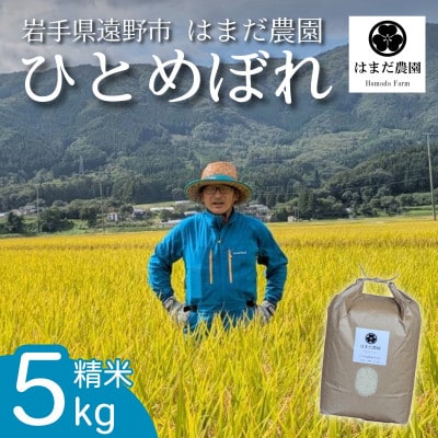 令和8年産 新米 ひとめぼれ 5kg 岩手県 遠野産 農家直送 精米したてをお届け【はまだ農園】