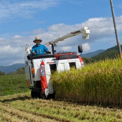 令和8年産 新米 ひとめぼれ 10kg 岩手県 遠野産 農家直送 精米したてをお届け【はまだ農園】