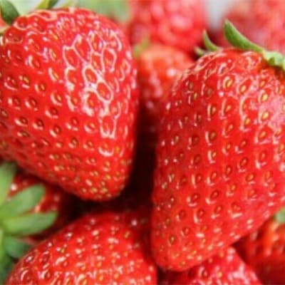 【佐賀県産苺】　こだわりのほのか“イチゴイチエ” 800g