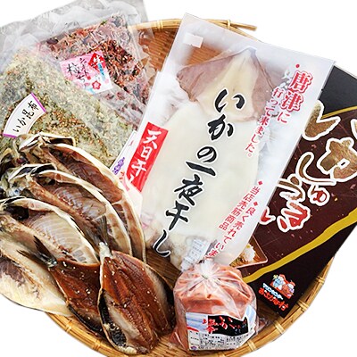 【のし付き】【おさかな村厳選】いかづくし7種詰合せA