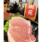 黒毛和牛ヒレステーキ　480g (約120g×4枚)