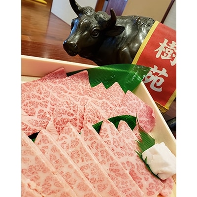 黒毛和牛　上焼肉セット (タレ付き)　500g