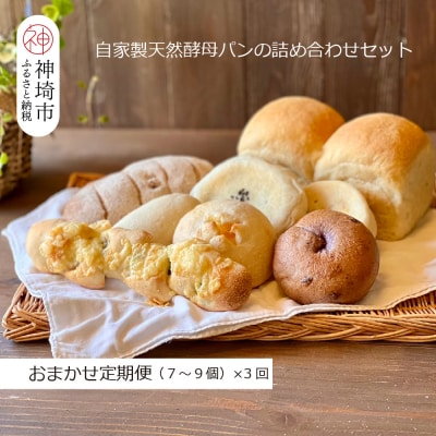 【定期便3回】自家製天然酵母パンの詰め合わせセット【パンと器のコネル】(H094117)