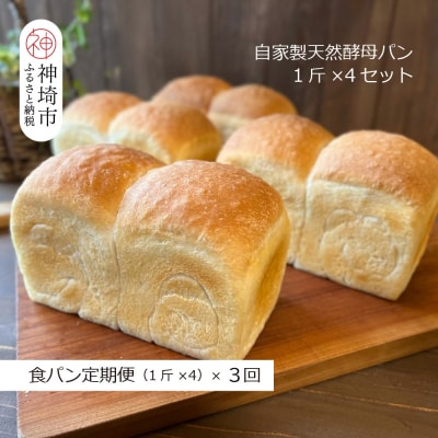 【定期便3回】自家製天然酵母の食パン 4斤【パンと器のコネル】(H094126)