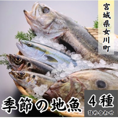 季節の地魚4種詰合せ　刺身用 宮城県産