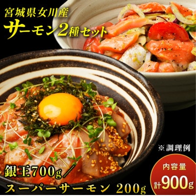 女川産銀鮭「銀王」と「スーパーサーモン」のセット　銀鮭 養殖 国産 宮城 刺身