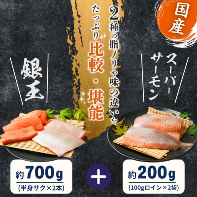女川産銀鮭「銀王」と「スーパーサーモン」のセット　銀鮭 養殖 国産 宮城 刺身