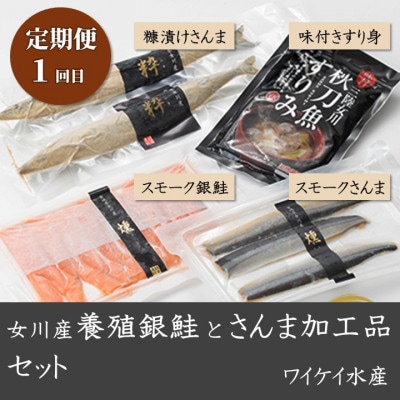 【3ヵ月毎定期便】さんま加工品食べ比べセット全4回