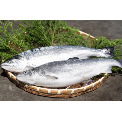 近海お刺身詰め合わせ(サーモン・ひらめ・真鯛・平目昆布〆) 各60g×2パック