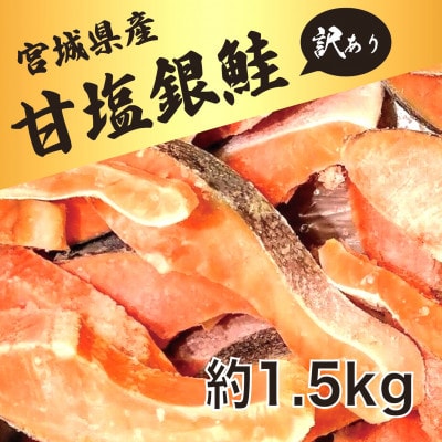 訳あり　銀鮭　宮城県産　甘塩　切身　約1.5kg　国産　/　宮城県　女川町