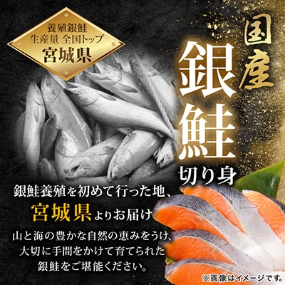 訳あり　銀鮭　宮城県産　甘塩　切身　約1.5kg　国産/三陸　女川町