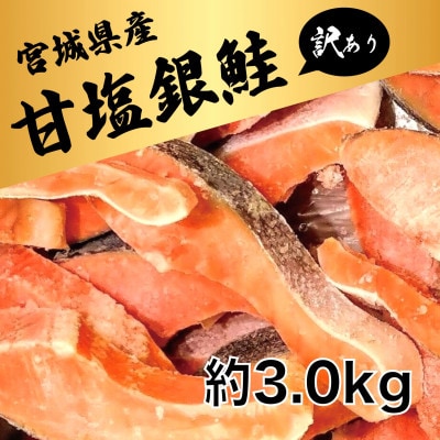 訳あり 銀鮭切身(甘塩)約3kg / 宮城県 女川町