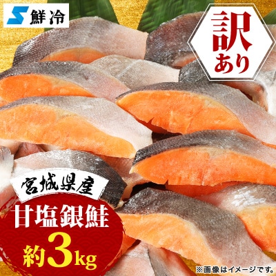 訳あり 宮城県産　銀鮭　切身　甘塩　約3kg　国産/三陸　女川町