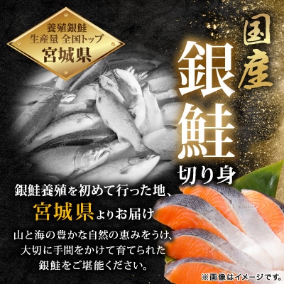 訳あり 宮城県産　銀鮭　切身　甘塩　約3kg　国産/三陸　女川町