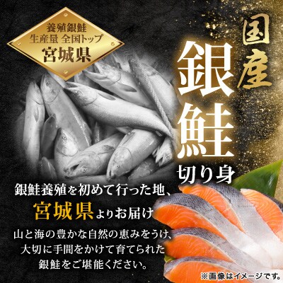 訳あり 宮城県産　銀鮭　切身　甘塩　約3kg　国産/三陸　女川町
