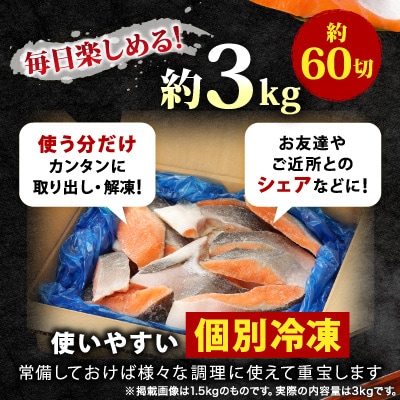 訳あり 宮城県産　銀鮭　切身　甘塩　約3kg　国産/三陸　女川町