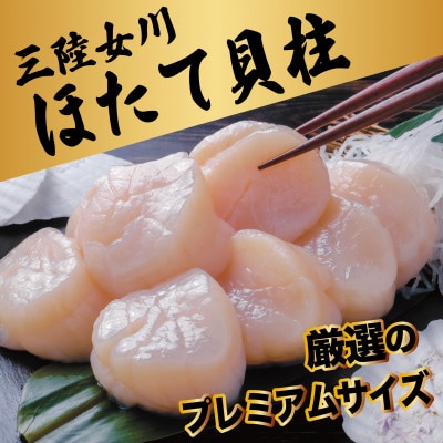 冷凍ほたて貝柱(生食用)　厳選のプレミアムサイズ　500g/CAS凍結