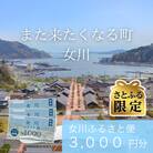 【さとふる限定】「女川ふるさと便」1000円分×3枚