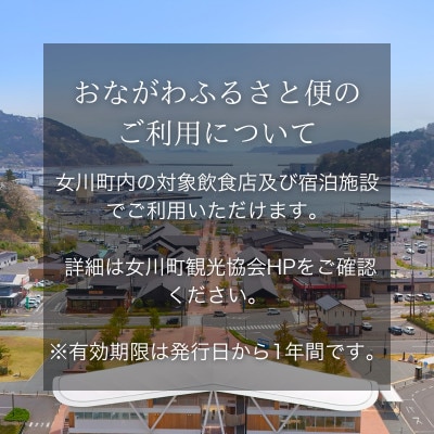 【さとふる限定】「女川ふるさと便」1000円分×3枚