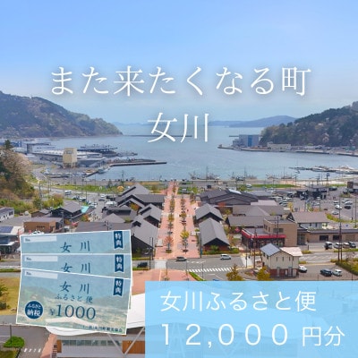 「女川ふるさと便」1000円分×12枚