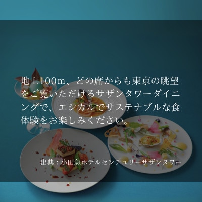 【さとふる限定】「女川ふるさと便」 女川・海と山の恵みディナーコース限定お食事券