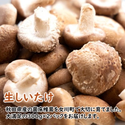 宮城県女川町　椎茸2パック　元祖おからかりんとう3袋