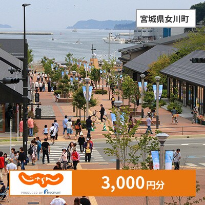 【じゃらんふるさと納税クーポン】 宮城県女川町でつかえる3,000円 クーポン
