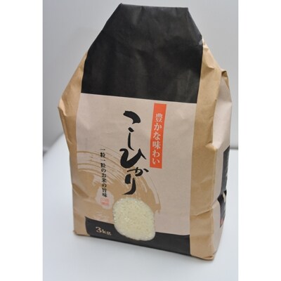 楢葉のコシヒカリ3kg、さけのよ切身(3切入)2袋/さけのよ珍味(60g)2袋 セット