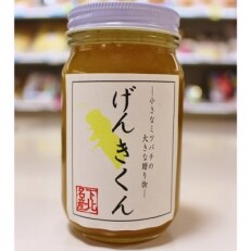 栄養満点はちみつげんきくん300g | ふるさと納税のお礼品