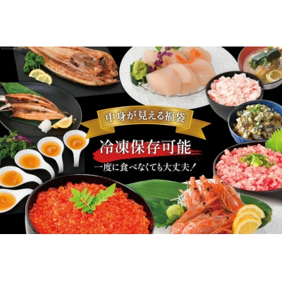 豪華 海鮮福袋 全10種 カネダイ 宮城県 気仙沼市 20564324